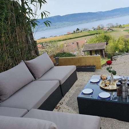 Chalet With Stunning Lake And Mountain Views Avec Une Vue A Couper Le Souffle, Une Spacieuse Terrasse Et Jardin Chatillon  Exterior photo