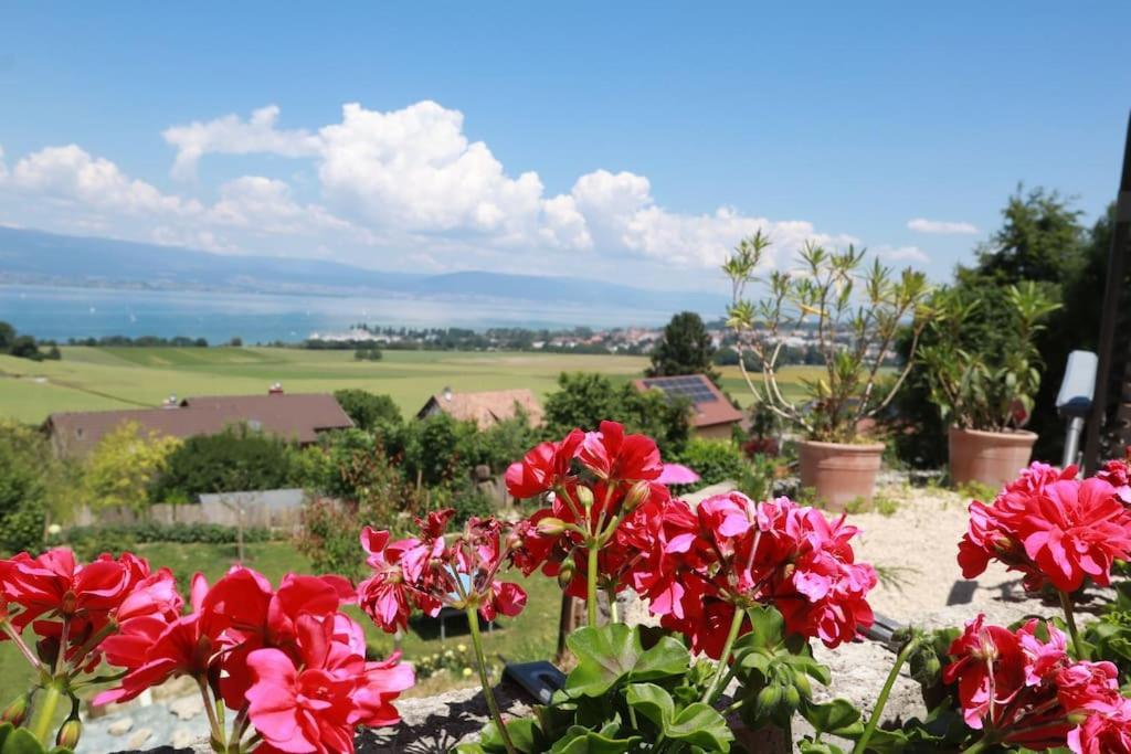 Chalet With Stunning Lake And Mountain Views Avec Une Vue A Couper Le Souffle, Une Spacieuse Terrasse Et Jardin Chatillon  Exterior photo